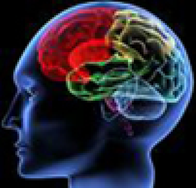 智商(IQ)、情緒智商(EQ)、逆商(AQ) 重要嗎?