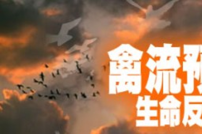 《禽流預警——生命反思大會》本周末舉行 呼籲全港市民參加