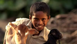 一隻白兔,改變一家人的生命?