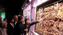 聖經事工展紐約到尾站 未得當地華人教牧廣泛信任