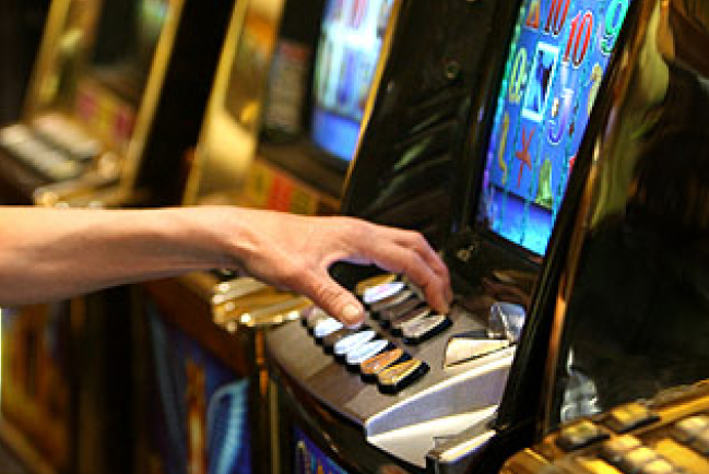 澳3千學校積極杜絕澳洲賭博年輕化