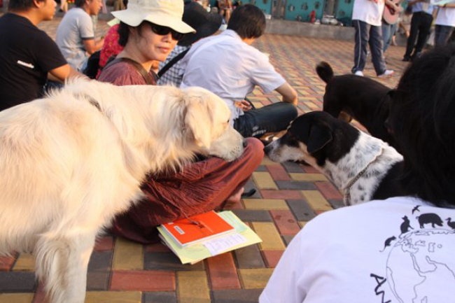 世界動物日 貓狗主人齊敬拜