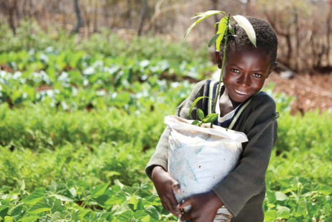 送豬送羊送種子 宣明會籲聖誕行善救飢餓