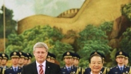 兩熊相遇