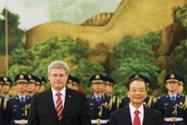 兩熊相遇