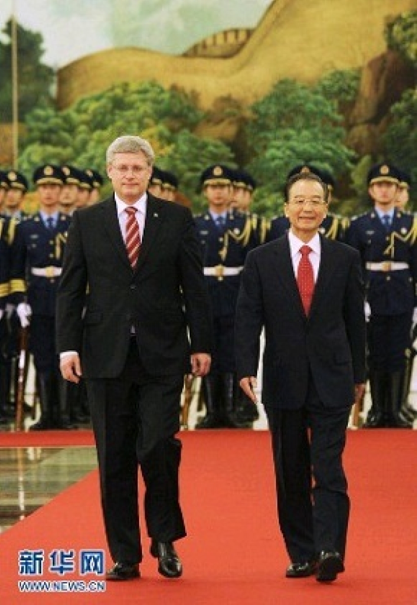 两熊相遇   