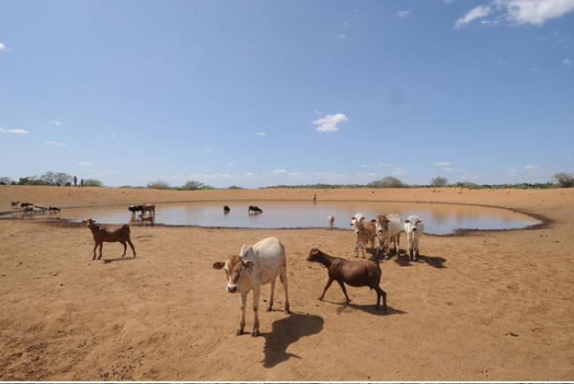 世界水日 展望會籲給東非孩子救命水