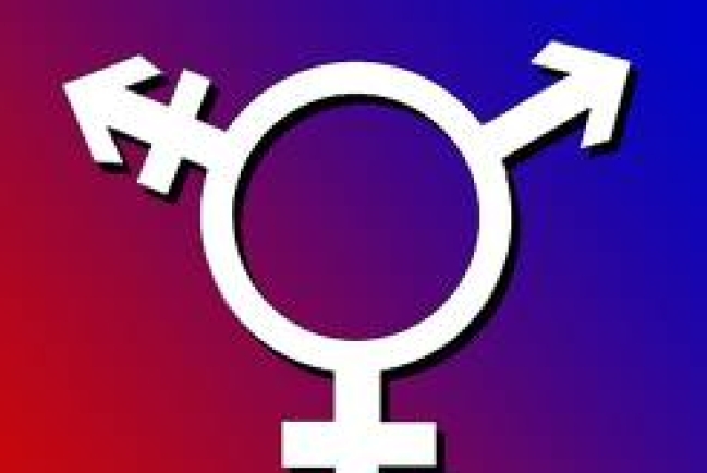 加州硬禁性向治療 家庭組織喊停