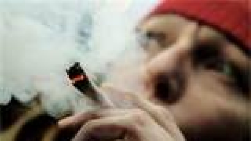合法化,問題就解決嗎?!(一)