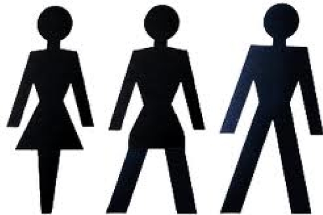 加拿大法案破壞性別區分 婦孺恐安全受威脅