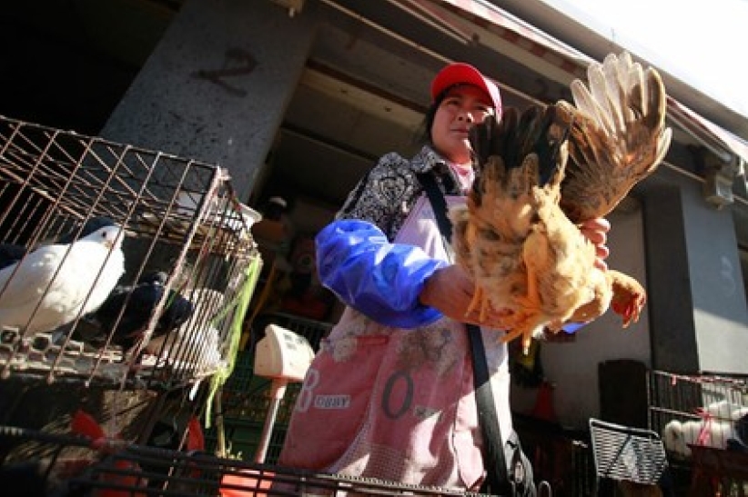 中國發現H7N9禽流感病毒感染病例