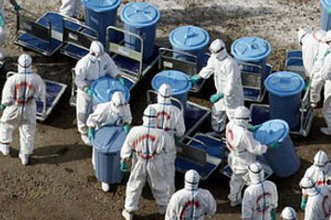 H7N9引「末日瘟疫」恐慌 人類或遇滅頂之災