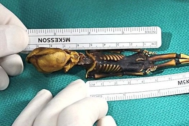 紀錄片《天狼星》為迷你「外星人」揭秘