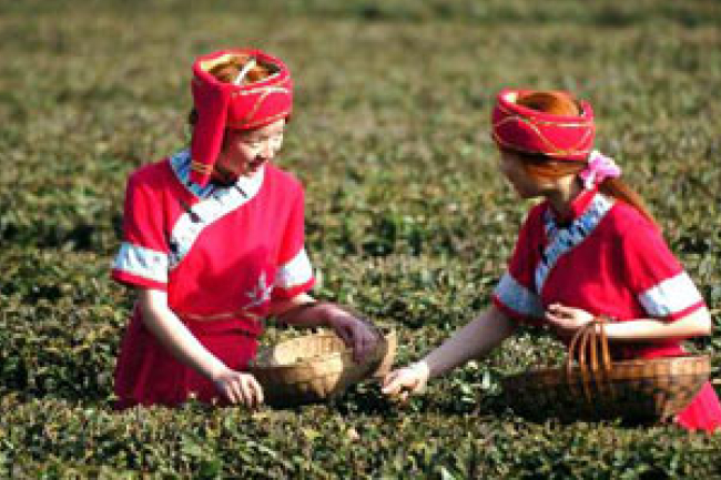 大陸異端二兩糧侵擾土家族 神州情籲代禱