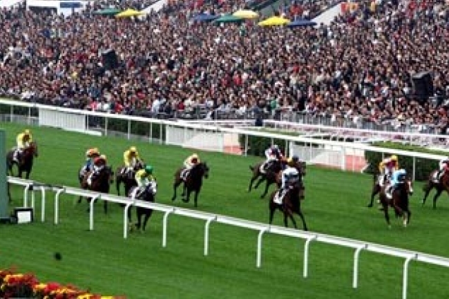 馬會投注額創新高 過來人勸賭徒別「進貢」