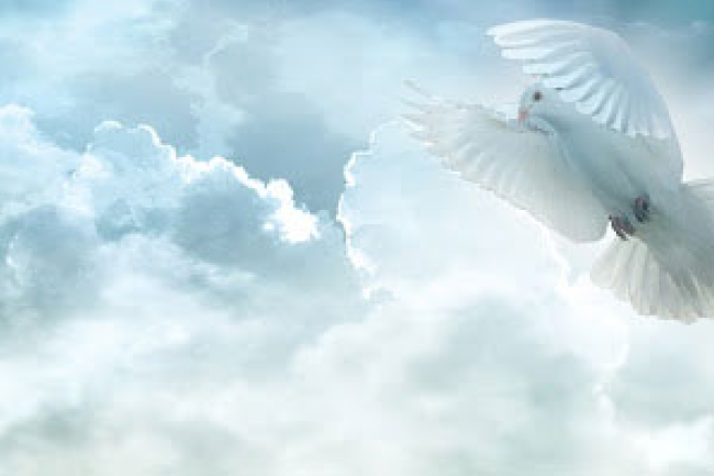 張景祥牧師：聖經與聖靈缺一不可