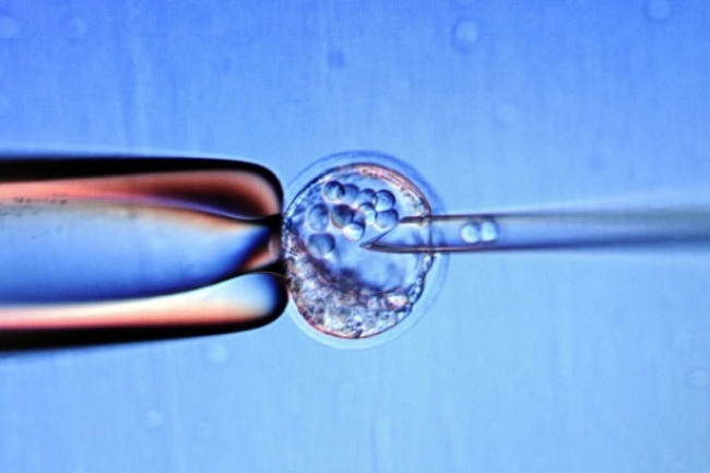 「設計」自己的孩子﹖基因專利惹道德爭議