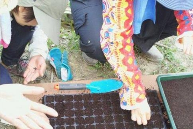 上帝帶領轉化土地 大埔使命農場「添恩園」成立