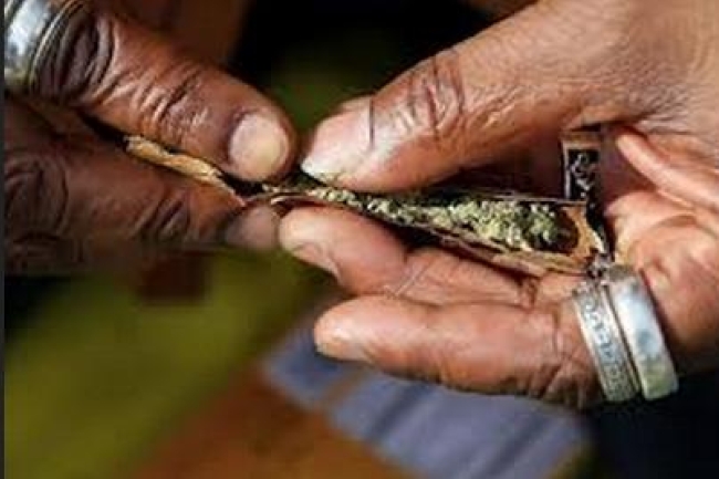 美國科州出售娛樂用大麻合法