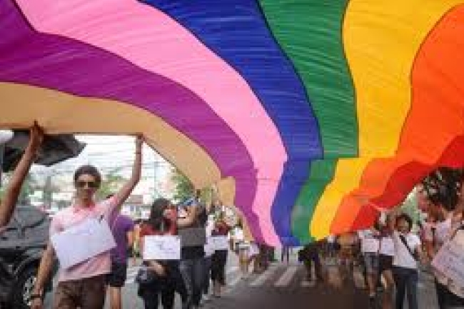 監察機構：2013同性戀運動勢力驟增