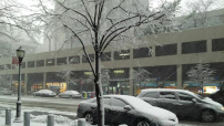 美東北迎來暴風雪 紐約市一夜換白裝