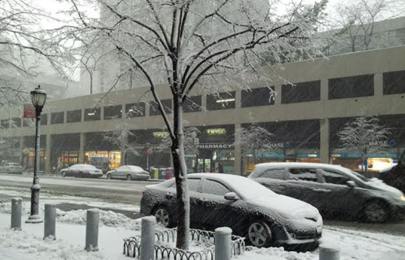 美东北迎来暴风雪 纽约市一夜换白装