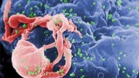 去年HIV數字爆標 逾半為男男性接觸感染