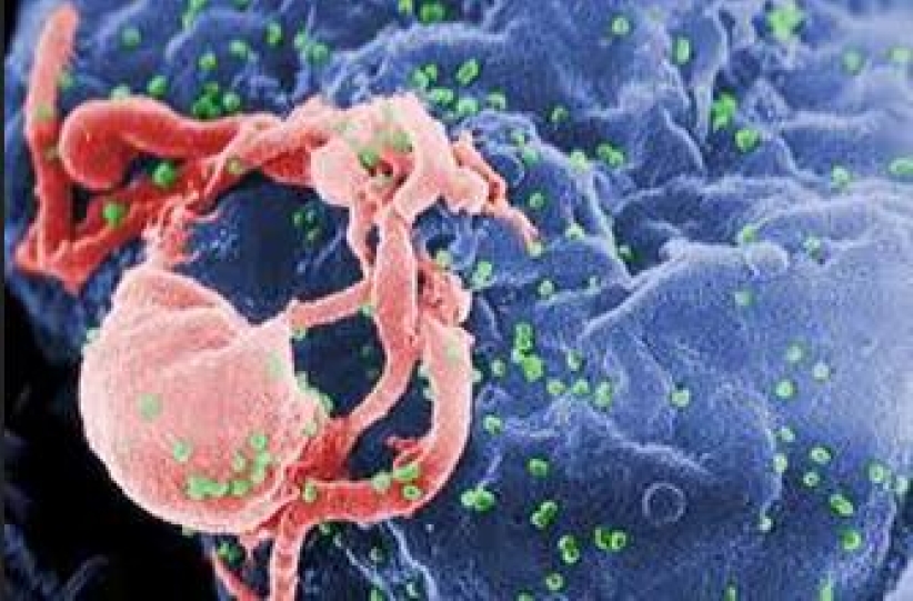 去年HIV数字爆标 逾半为男男性接触感染