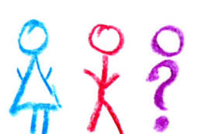 性別不是憑感覺 團體籲嚴格把關「變性人」定義