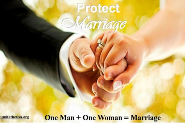 傳統婚姻岌岌可危 紐約華人教會在華府請願