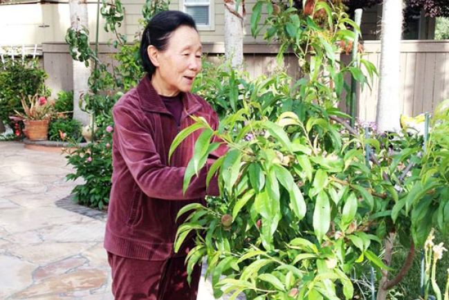 遠志明寫《母親的福氣》厚謝母愛