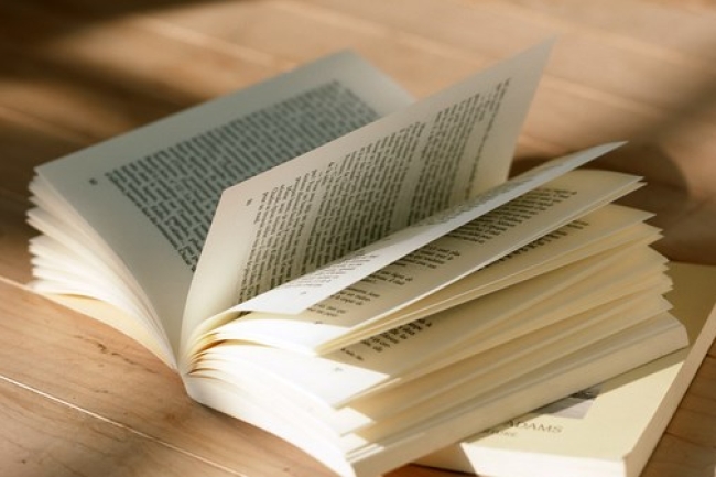 牧者籲重視文學建造教會的作用