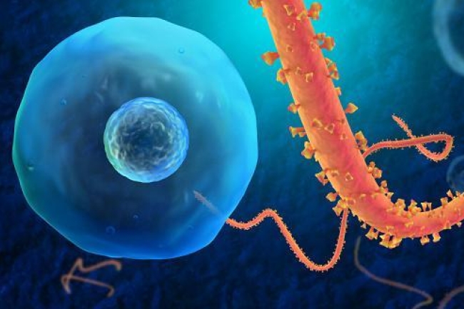 伊波拉史上最大規模爆發 有醫生傳教士冒死救人染病