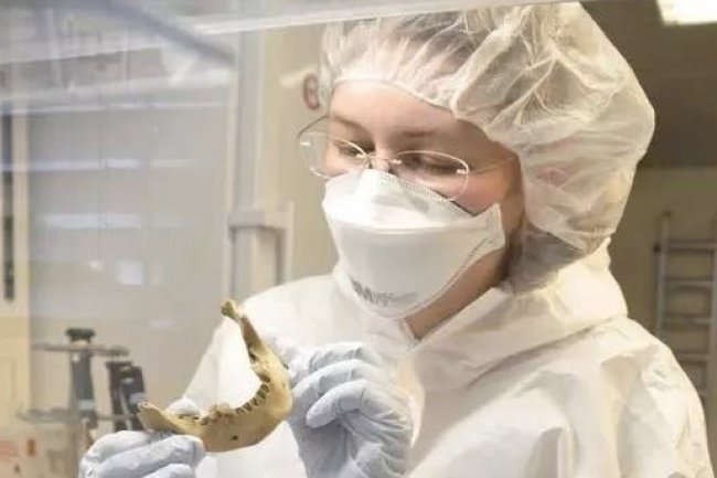 首例可靠古埃及木乃伊DNA研究 支持挪亞兒子含的《聖經》記載