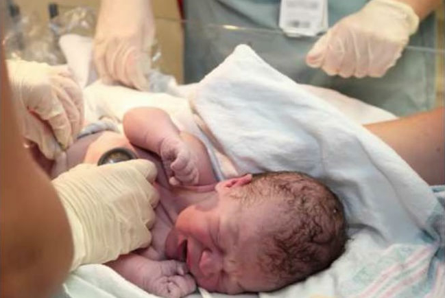 女醫生米歇爾：教孩子變性為何是一種心理虐待