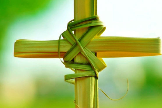 伊拉克基督徒流亡三年 返回家園慶棕枝主日