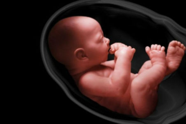 台灣墮胎每年50萬例 神父痛心：胎兒豈人可殺掉？