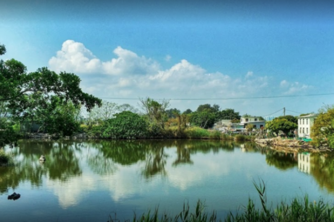 香港土地供應諮詢結束 協進會關注生態公義