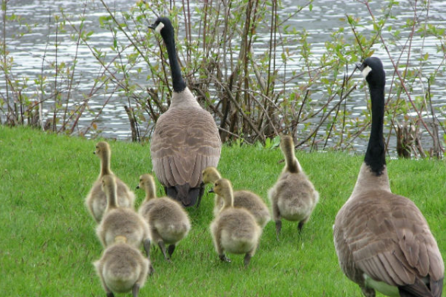 信仰代代相傳 學者冀父母活出信仰榜樣