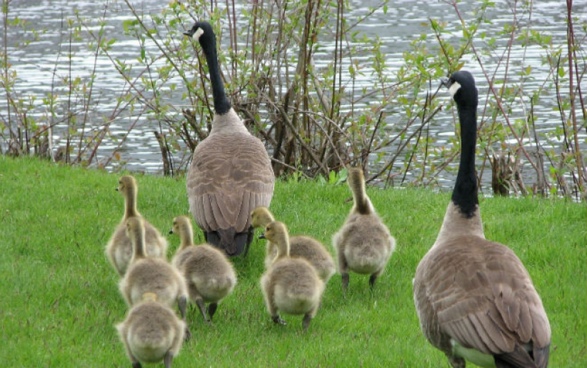 信仰代代相傳 學者冀父母活出信仰榜樣