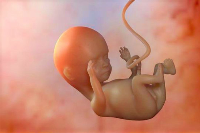 阿拉巴馬州性侵禁墮胎 保護胎兒權利為先？