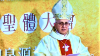梵蒂岡樞機論香港教會：有權利發表異見