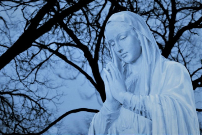 教牧參政去多盡? 神學院長冀生命改革社會