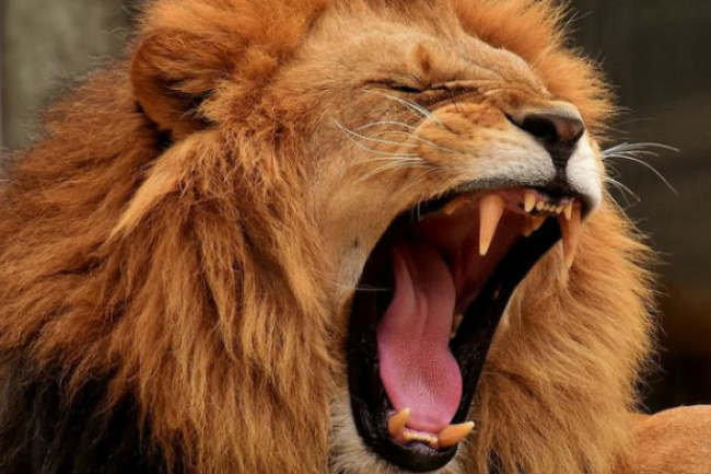 拒權力冒殉道 牧者籲信徒唯愛上帝