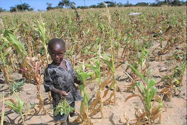 協進會世界公禱日 籲教界關注津巴布韋糧荒