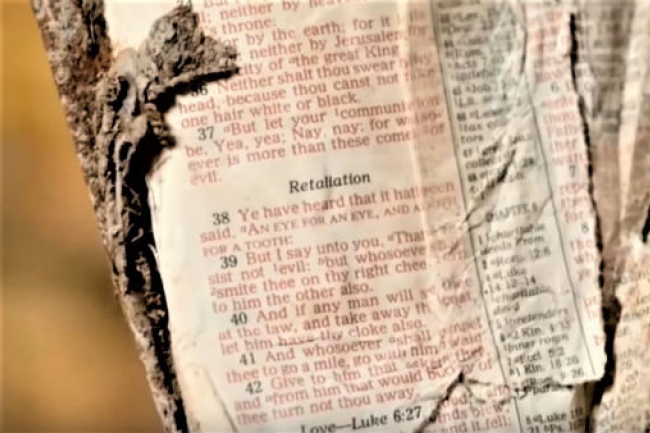 攝影師發現瓦礫藏《聖經》：耶穌勸世人勿以惡報惡