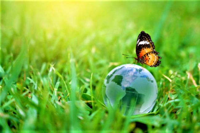 地球日五十周年 基督教團體保育活動還美好明天