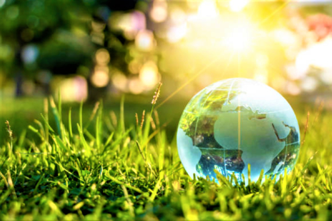 教宗頒《願祢受讚頌》5周年 亞洲教會促信徒綠化地球