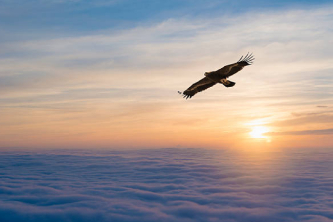 牧者證道：港信徒儲備屬靈資產迎長遠艱難