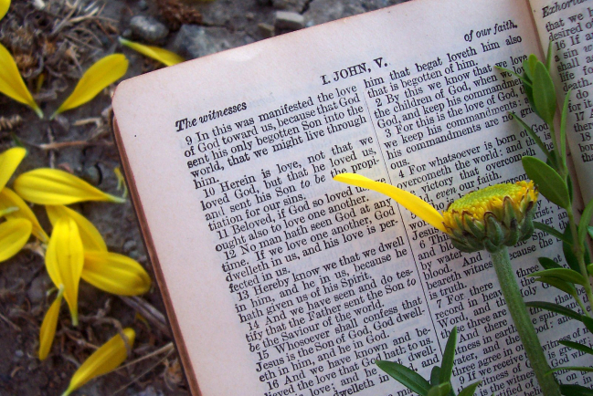 調查：新冠病毒嚴峻 美國人每天讀經不足一成